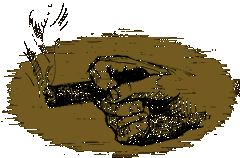 Hand holding Cigar