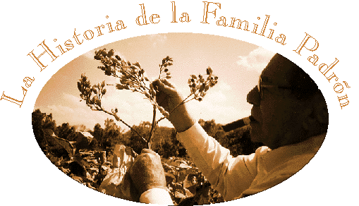 La Historia de la Familia Padrón